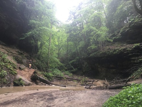 A misty forest scene with lush green trees, rocky cliffs, and a person standing near a small stream.