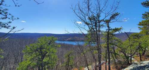 A scenic view of a lake surrounded by trees and mountains under a clear blue sky.