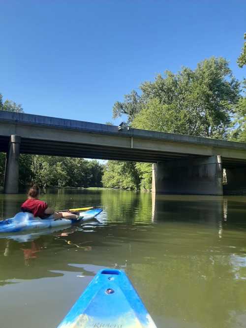 A person kayaking on a calm river beneath a bridge, surrounded by lush green trees and a clear blue sky.