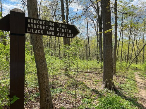 A wooden sign points to the Arboretum Trail and Center, surrounded by lush green trees and a clear blue sky.