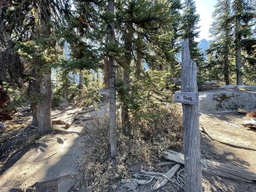 A wooden trail sign stands among tall trees in a rocky, forested area. Sunlight filters through the branches.
