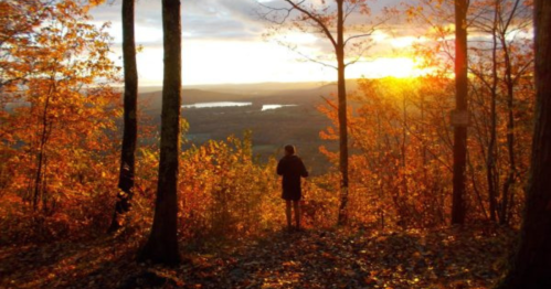 A person stands among autumn trees, watching a sunset over a valley with a lake in the distance.