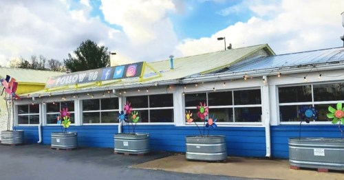 Colorful flower decorations in metal planters outside a blue and yellow building with social media signs.