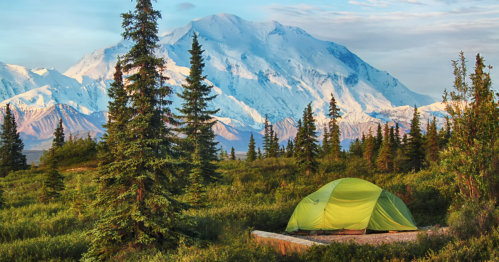 A green tent nestled among trees with a majestic snow-capped mountain in the background under a clear sky.