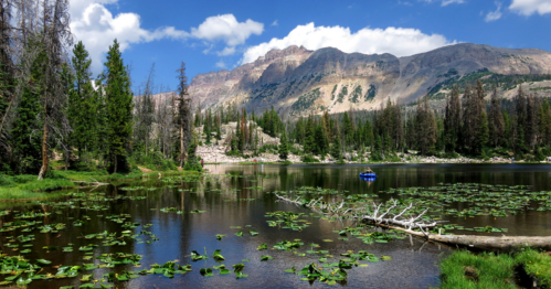 A serene lake surrounded by mountains and lush greenery, with lily pads floating on the water's surface.