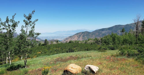 A scenic view of mountains and valleys under a clear blue sky, with green foliage and rocks in the foreground.