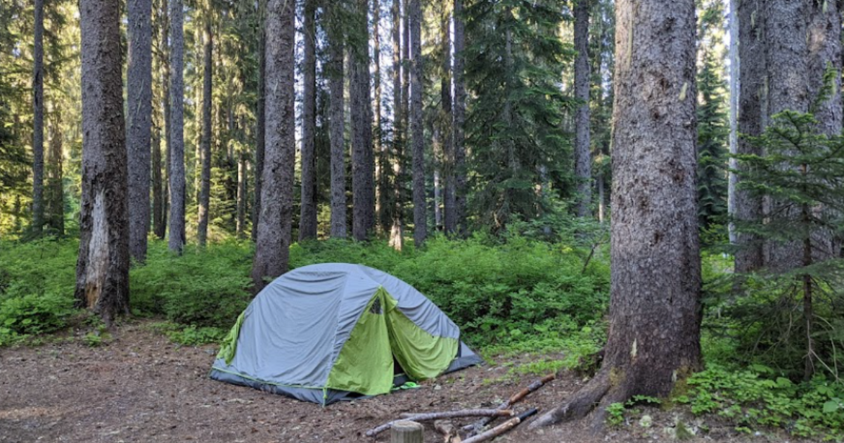 7 Of The Best Dispersed Campgrounds in Idaho for Primitive Camping