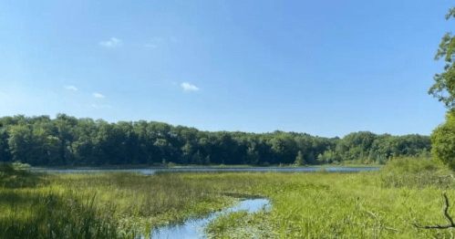 A serene landscape featuring a calm lake surrounded by lush greenery and blue skies.