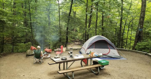 A campsite in a forest with a tent, picnic table, and a person cooking over a fire surrounded by trees.