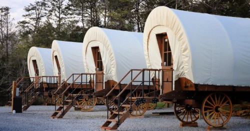 Four vintage-style covered wagons lined up, each with wooden steps and set against a backdrop of trees.