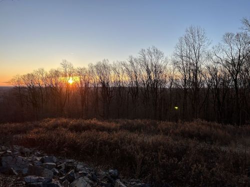 Sunset over a forested landscape, with bare trees silhouetted against a colorful sky and rocky foreground.