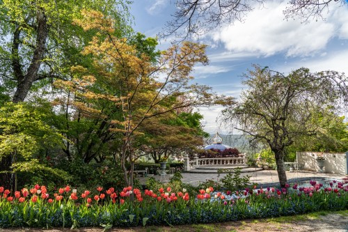 A vibrant garden with blooming tulips, lush trees, and a scenic view in the background under a partly cloudy sky.