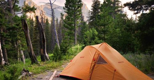 A bright orange tent set up in a lush forest with mountains in the background, surrounded by tall trees.