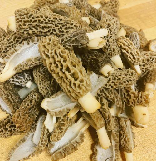 A close-up pile of morel mushrooms with a textured, honeycomb-like appearance on a wooden surface.