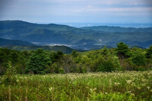 A panoramic view of rolling green mountains under a cloudy sky, with a foreground of lush vegetation and distant valleys.