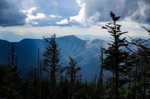 A scenic view of mountains under a cloudy sky, with tall trees in the foreground and layers of hills in the background.