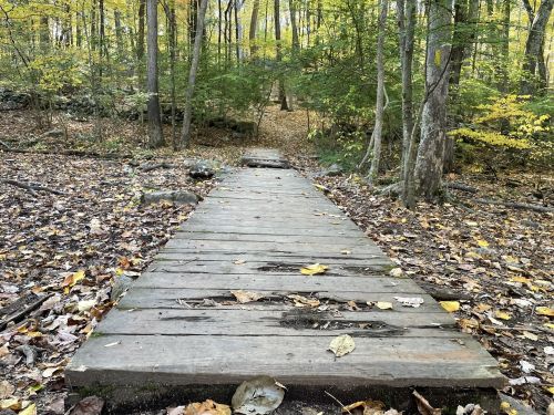 A wooden bridge leads through a forest with autumn leaves scattered on the ground and trees in vibrant fall colors.