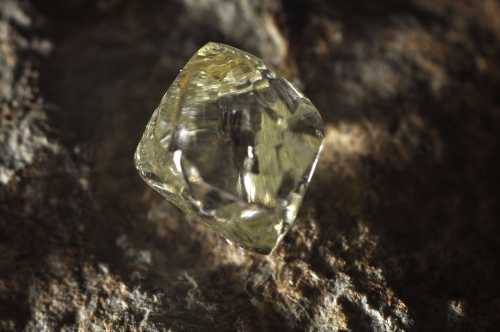 A close-up of a yellow gemstone resting on a textured rock surface.