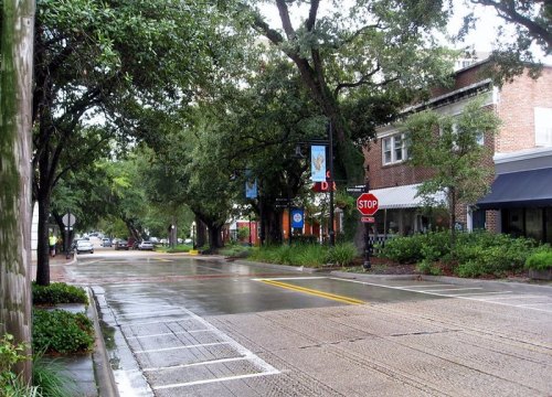 A quiet street lined with trees and shops, featuring a stop sign and wet pavement after rain.