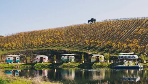 Colorful vintage trailers by a serene pond, surrounded by lush vineyards on a sunny day.