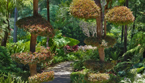 A lush garden path lined with uniquely shaped, trimmed trees and vibrant greenery.