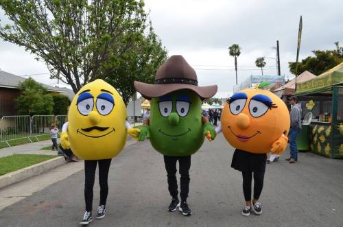 Three people in oversized fruit costumes—lemon, lime, and orange—smile while walking at an outdoor event.