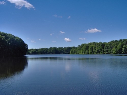 A serene lake surrounded by lush green trees under a clear blue sky with a few fluffy clouds.