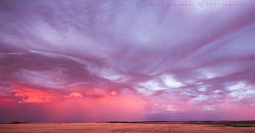 A vibrant sunset sky with swirling clouds in shades of pink, purple, and blue over a golden field.