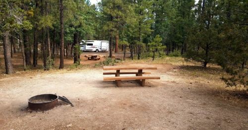 A picnic table and fire pit in a wooded campsite, with an RV parked in the background among the trees.