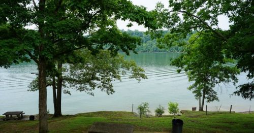 A serene lake view surrounded by trees, with gentle ripples on the water's surface and a grassy shoreline.