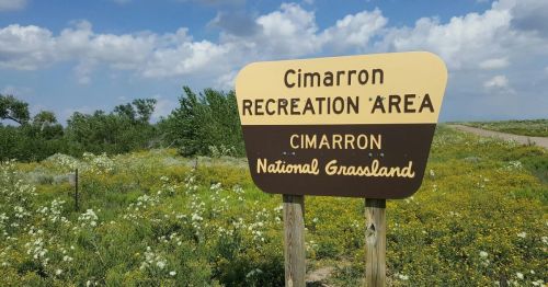 Sign for Cimarron Recreation Area in Cimarron National Grassland, surrounded by green grass and wildflowers under a blue sky.