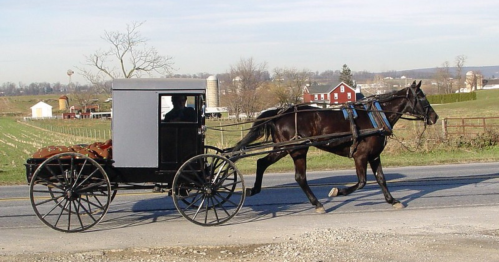 A horse-drawn carriage travels along a rural road, with farmland and a red barn in the background.