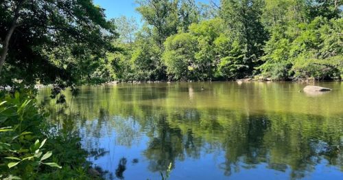 A serene river scene surrounded by lush green trees and clear blue skies, reflecting the landscape in calm water.