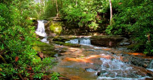 A serene forest scene featuring a cascading waterfall over rocky terrain, surrounded by lush green foliage.