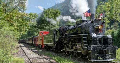A vintage steam locomotive with smoke billowing, traveling along a scenic railway surrounded by lush greenery.