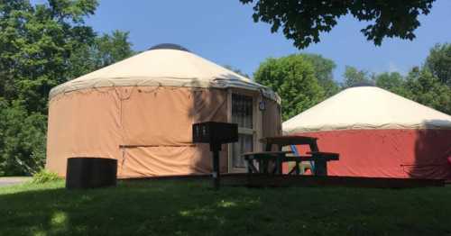 Two yurts with beige and red exteriors sit on a grassy area, surrounded by trees and a picnic table nearby.