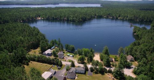 Aerial view of a serene lake surrounded by lush green trees and a small community along the shore.
