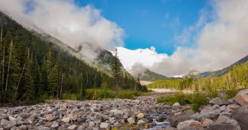 A serene landscape featuring a rocky riverbed, lush green trees, and mountains partially covered by clouds.
