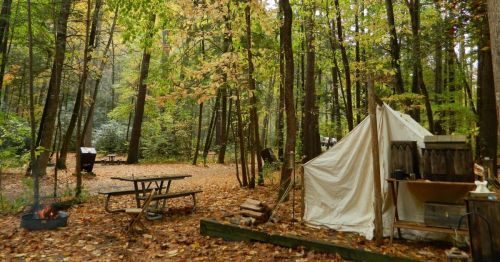 A serene campsite in a forest with a tent, picnic table, and a fire pit surrounded by autumn foliage.