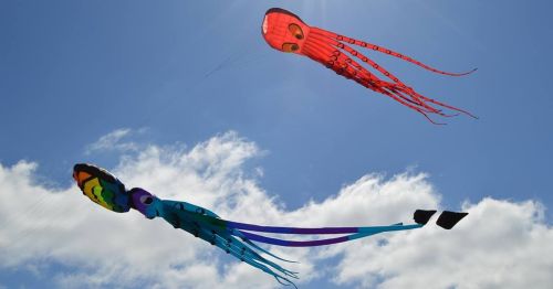 Two colorful kites shaped like octopuses flying against a blue sky with fluffy white clouds.