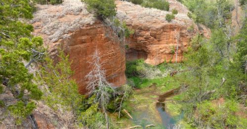 A scenic view of a rocky cliff with green vegetation and a small stream running through a canyon.