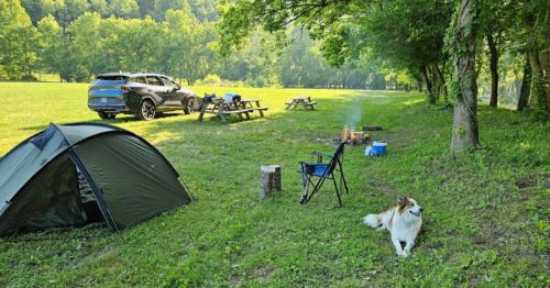 A campsite with a tent, picnic tables, a fire pit, a car, and a dog resting on the grass in a green, wooded area.