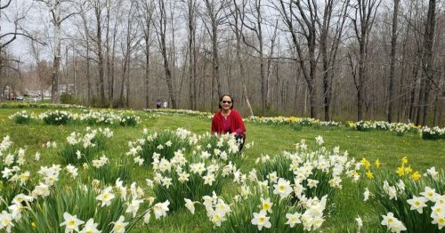 A person in sunglasses sits among blooming daffodils in a lush green field, surrounded by bare trees.