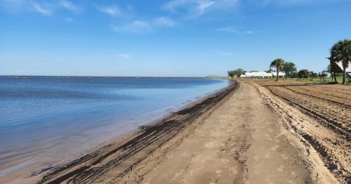 A serene beach scene with a sandy shore, calm water, and palm trees under a clear blue sky.