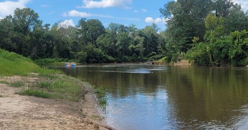 A calm river surrounded by lush greenery, with a small boat in the distance under a blue sky with fluffy clouds.