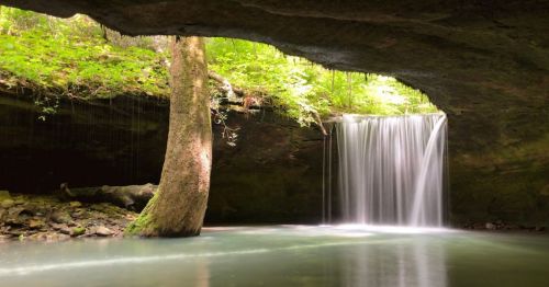 A serene waterfall cascades into a tranquil pool, surrounded by lush greenery and a rocky cave entrance.