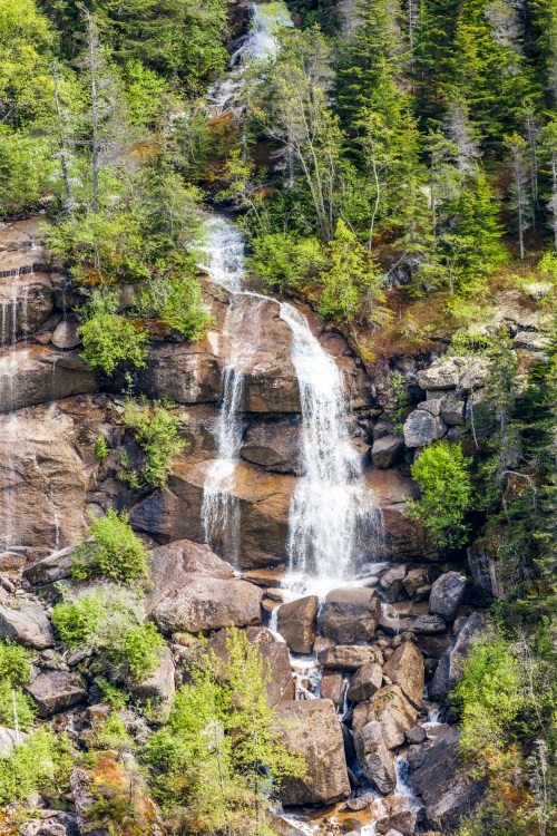 A cascading waterfall flows over rocky terrain, surrounded by lush green trees and foliage.