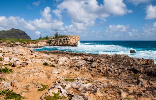 Rocky coastline with crashing waves, lush greenery, and a cloudy blue sky in the background.