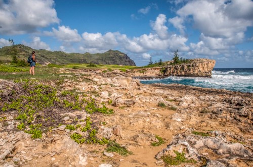 A person stands on rocky terrain by the ocean, with lush green hills and a cliff in the background under a blue sky.