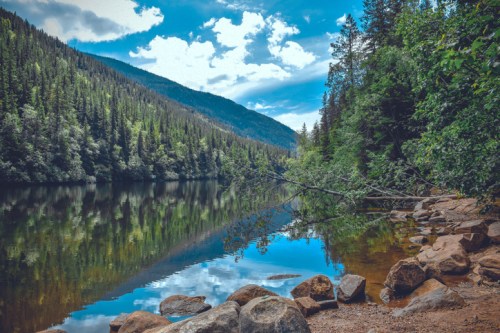 A serene lake surrounded by lush green trees and mountains, reflecting the sky and landscape in calm waters.